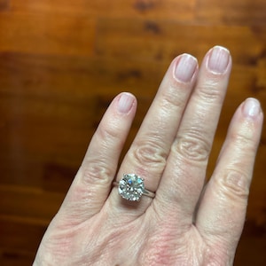 deb added a photo of their purchase