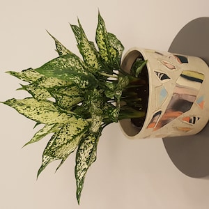 Acquirente Etsy ha aggiunto una foto del proprio acquisto