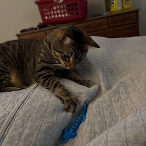 Sylvia added a photo of their purchase