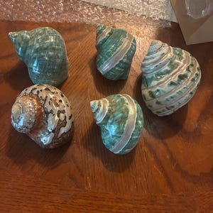 Bessie added a photo of their purchase
