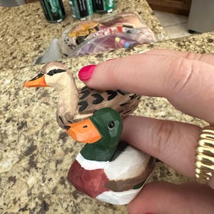 Haley ha añadido una foto de su compra