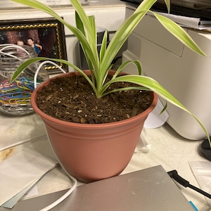 Kevin added a photo of their purchase