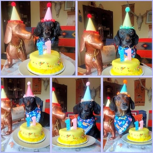 esmeralda added a photo of their purchase