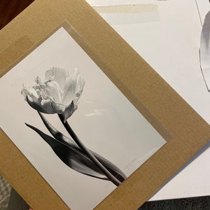 Olivia added a photo of their purchase