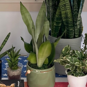 Annie added a photo of their purchase