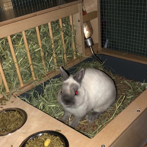 Gloria added a photo of their purchase