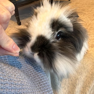 Melissa added a photo of their purchase