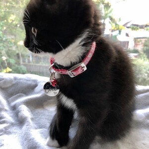 Debbie added a photo of their purchase