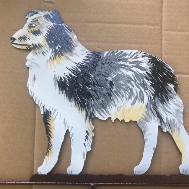 Australian Shepherd Adoption In Henderson, NV: Australian Shepherd Puppies For Sale In Henderson, NV