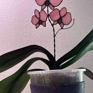 Etsy-Käufer:in hat ein Foto des gekauften Artikels hinzugefügt