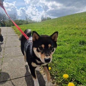 Louise ha añadido una foto de su compra