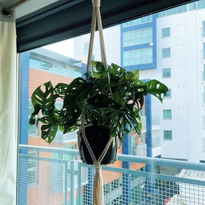 Ellen added a photo of their purchase