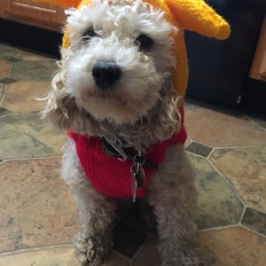 19+ Winnie The Pooh Dog Costume