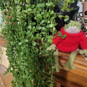Pippa a ajouté une photo de son achat