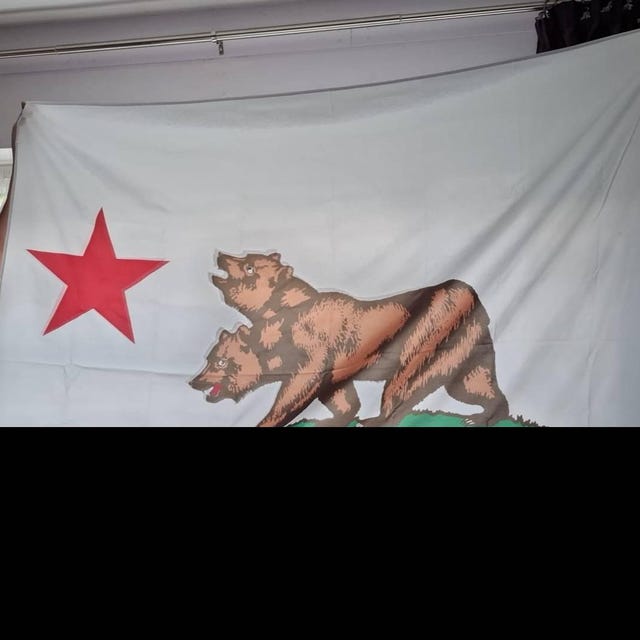New California Republic Flag Tapestry, NCR Flag Banner Canvas