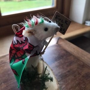 Charlotte added a photo of their purchase