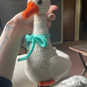 Josey added a photo of their purchase