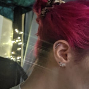 Elizabeth heeft een foto van de aankoop toegevoegd