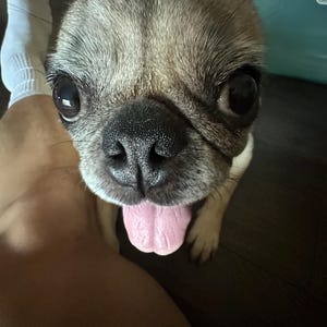 Calvin added a photo of their purchase