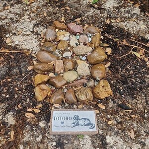 Ferret Memorial Stone | Adirondack Stone Works Pet Memorials