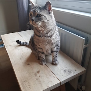 Helene added a photo of their purchase