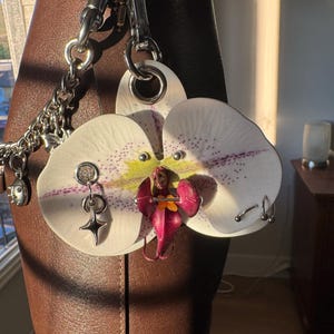 Fiona added a photo of their purchase