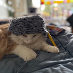 Ozra ha añadido una foto de su compra