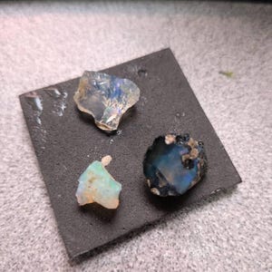 Melissa added a photo of their purchase