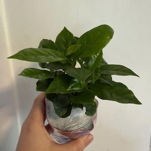 Ника added a photo of their purchase