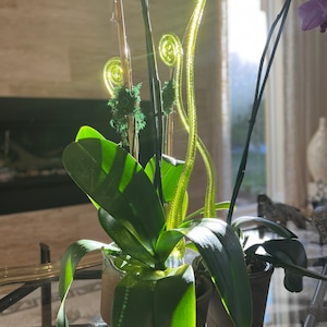Sandra added a photo of their purchase