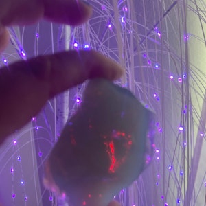 Lisa added a photo of their purchase