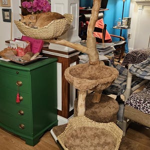 Nathalie さんが購入した商品の写真を追加しました