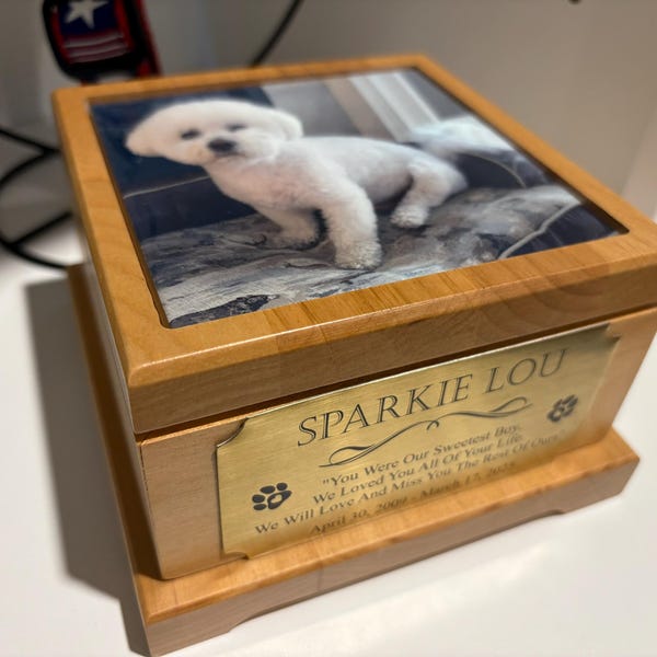 Cute Dog Pet Cremation Urn for Dogs and Cats Memorial Keepsake