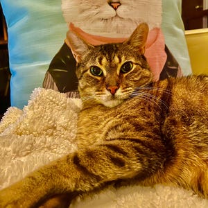 coco added a photo of their purchase