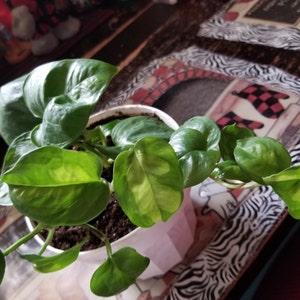 Kathy added a photo of their purchase