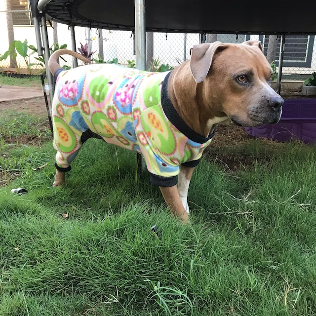 Dog Pajama Xl Pitbull Size Only digital Download SEWING Pattern -   Canada