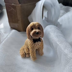 Sami a ajouté une photo de son achat