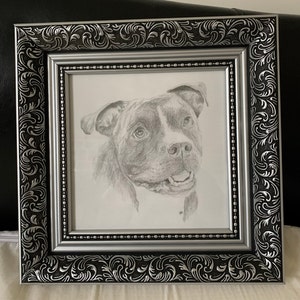 Penny added a photo of their purchase