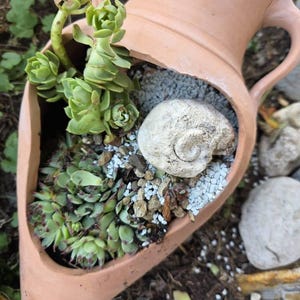 Barbara added a photo of their purchase