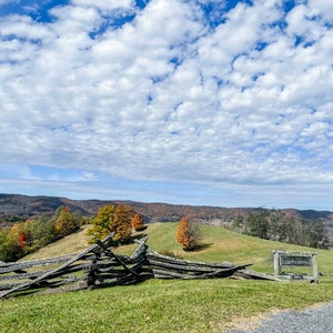 Bridget added a photo of their purchase