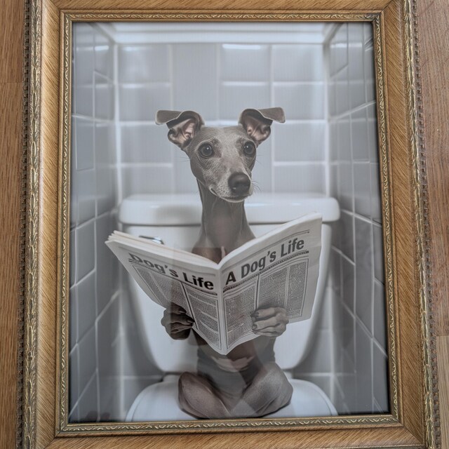 TNND Vintage Coffee Company Greyhound Poster per interni decorazione della casa regalo arte decorazione da parete decorazione per la casa festa del papà regalo di compleanno cartelli in metallo 30 x