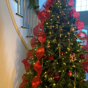 Bunmi added a photo of their purchase