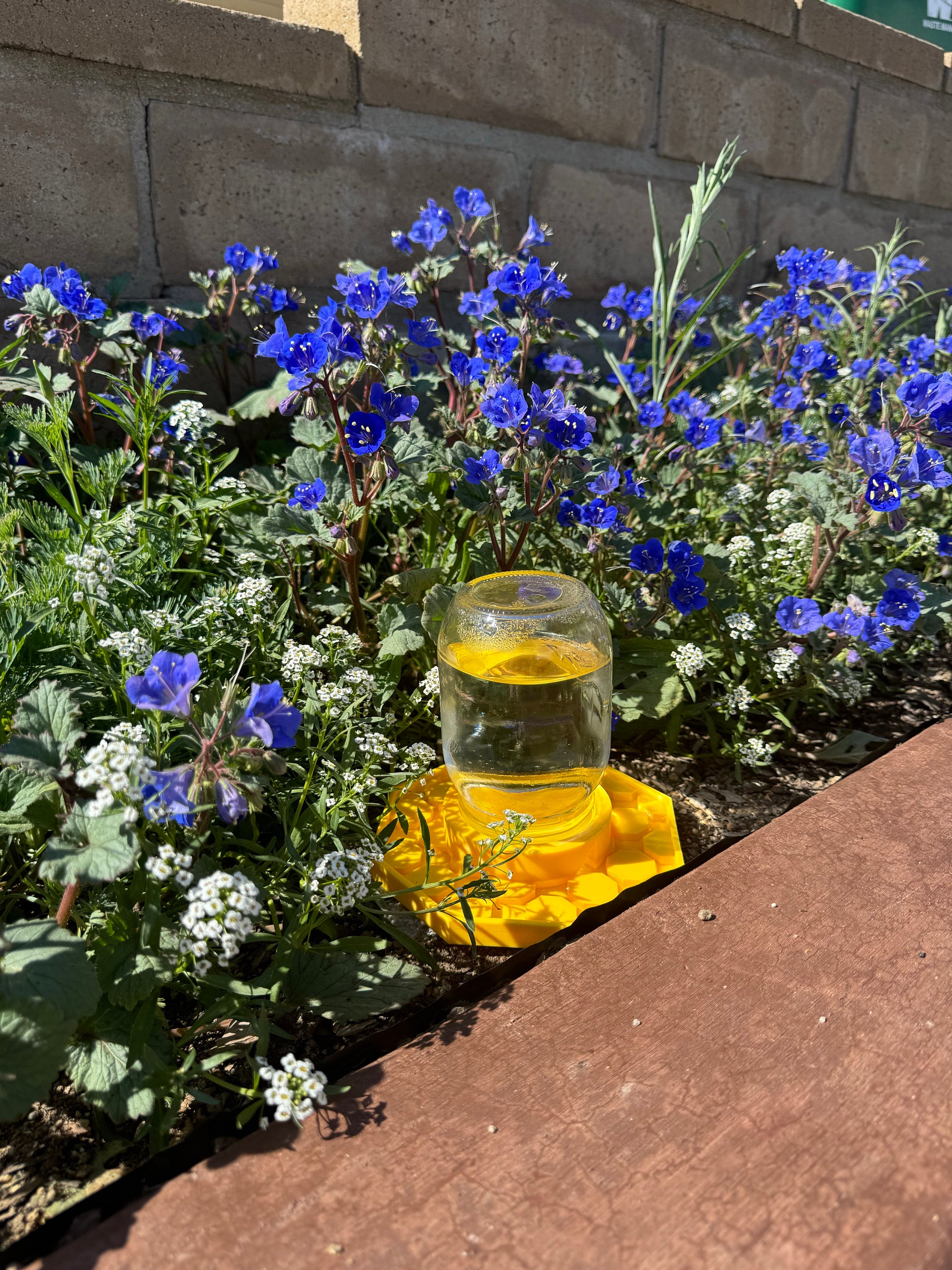 The Happy Bee Hydration Station (3D Printed)