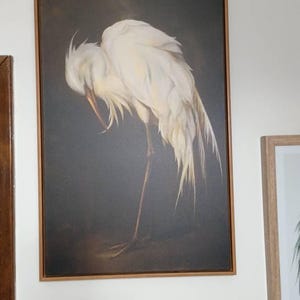 Sandi added a photo of their purchase