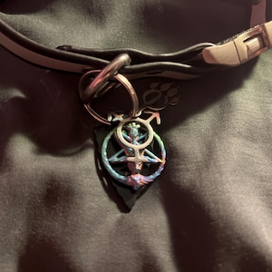 Luctus added a photo of their purchase