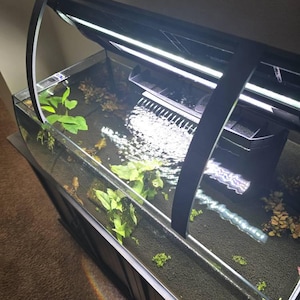 Dave heeft een foto van zijn/haar aankoop toegevoegd