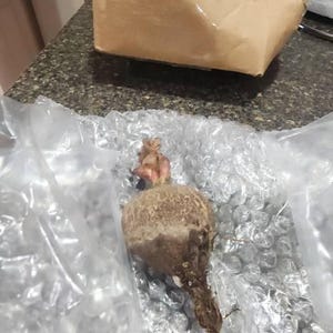 Nathan added a photo of their purchase