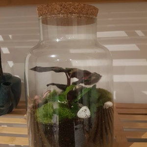 Benjamin a ajouté une photo de son achat
