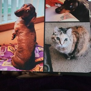 Lisa added a photo of their purchase