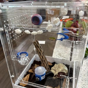 Molly added a photo of their purchase